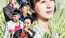 小草电视剧全集,逆境中的坚韧成长