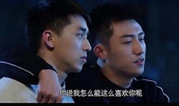 同志题材的电视剧,红色血脉的传承与抗争